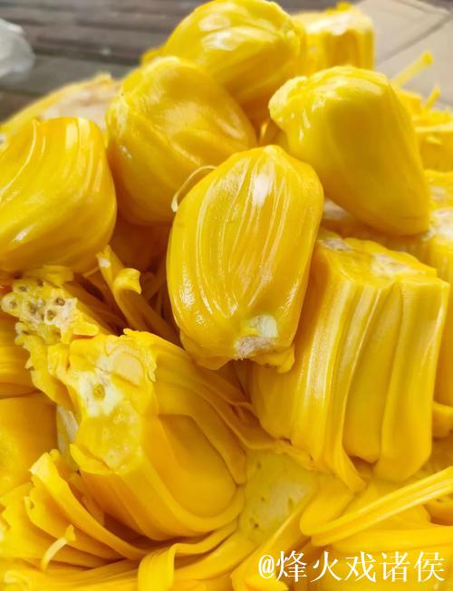 免费在线观看菠萝蜜高清视频 免费在线观看菠萝蜜高清视频