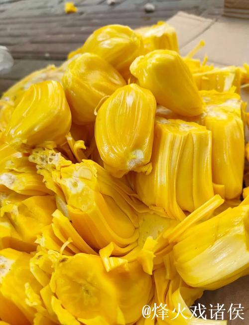 免费在线观看菠萝蜜高清视频 免费在线观看菠萝蜜高清视频