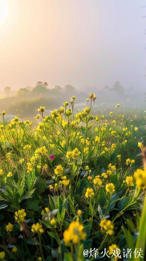 青青青草的诗意绽放
